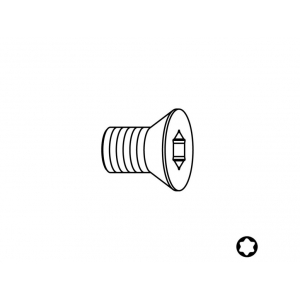 Skrutka - Typ:10 M2,5x5,5 Torx8