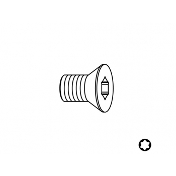 Skrutka Torx - M4-0,5x4,0       