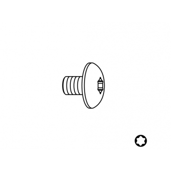 Skrutka - Typ:12 M4x6 D9 Torx 15               