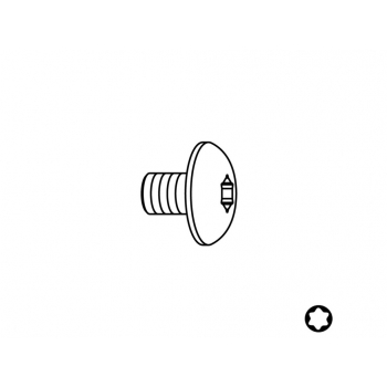 Skrutka - Typ:12 M4x6 D9 Torx 15               