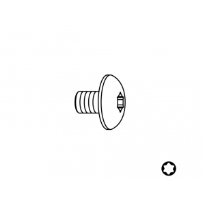 Skrutka - M4x3,5 D9 torx 15                       